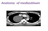 Mediastinal anatomy ,classification of mediastinal masses ans its localization