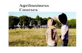 Diploma in Agribusiness – Agribusiness Courses