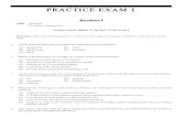 practice exam 1 - REA