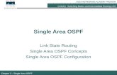 CCNA3 Chapter 2 Single Area OSPF