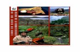 Vision de la Biodiversidad de los Andes del Norte