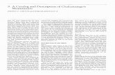 9. A Catalog and Description of Chalcatzingo's