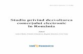 Studiu privind dezvoltarea comerţului electronic în România