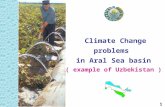 Climate Change problems in Aral Sea basin ( example of Uzbekistan )