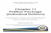 Chapter 11 Petition Package (Individual Debtors)