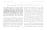 Transcriptional Regulation of Human Stromelysin”