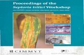 Proceedings of a Septoria tritici Workshop