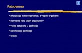 Patogeneza in imunski sistem