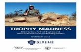 Trophy Madness Report: Elite Hunters, Animal Trophies and Safari ...