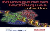 Mutagenesis Techniques (PDF)