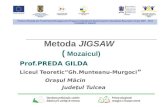 Metoda Mozaic- Prof.Preda Gilda