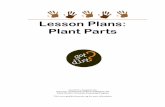 Lesson Plans: Plant Parts