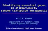 Identifying essential genes in M. tuberculosis by random transposon ...