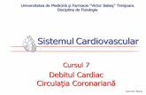 Debitul cardiac. Circulatia coronariana
