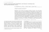Lethal experimental infections of rhesus monkeys by aerosolized ...