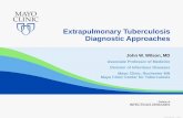 Extrapulmonary Tuberculosis Diagnostic Approaches