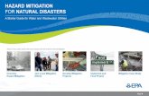 Hazard Mitigation for Natural Disasters Guide