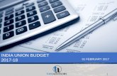 Budget impact 2017-18