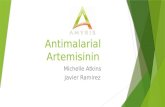 Antimalarial PP presentation