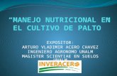 Manejo Nutricional de Palto - Huamanpali - Chincha 2016