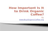 How Important Is It to Drink Organic Coffee?