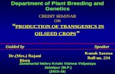 Production of transgenics in oilseeds by Kanak Saxena