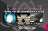 Stress and Mindfulness Mini-summit 5.25.2016