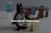 Influencer Marketing Nedir?