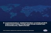 Commonly identified Consumer Protection themes for Digital Financial Services