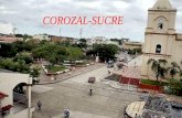 Cultura ciudadana- COROZAL