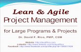 Lean & Agile Project Management: For Large Programs & Projects