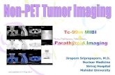 Non-PET Tumor Imaging p5_Tc-99m MIBI_Parathyroid