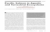 Pacific Salmon in Aquatic and Terrestrial Ecosystems