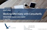 Working Effectively with Consultants