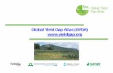 How can ‘Yield gap analysis’ be useful :Global yield gap atlas (gyga)
