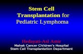 HSCT for Pediatric Lymphoma