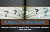 A guide for WordPress beginners