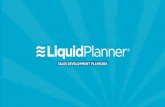 Liquid Planner SDR Playbook - Research Section
