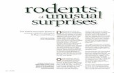 Rodents of Unusual Surprises
