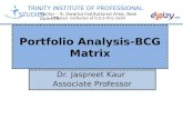 Portfolio Analysis-BCG Matrix