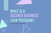 What is a Secured Business Loan Program?