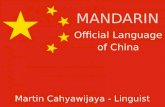 Mandarin - Official Language of China