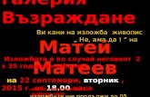 Matei mateev-2015