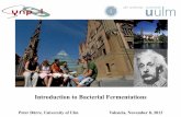 Introduction to Bacterial Fermentations
