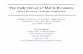 On the Early History of Matrix Iterations: The Italian Contribution