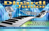 Show Musical São Paulo - Dinardi Junior