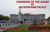 Changing of the guard at buckingham palace (nx power lite)
