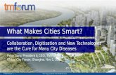 What Makes Cities Smart?