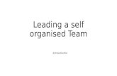 Leading a self organised team