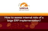 How to assess internal risks of a large erp implementation
